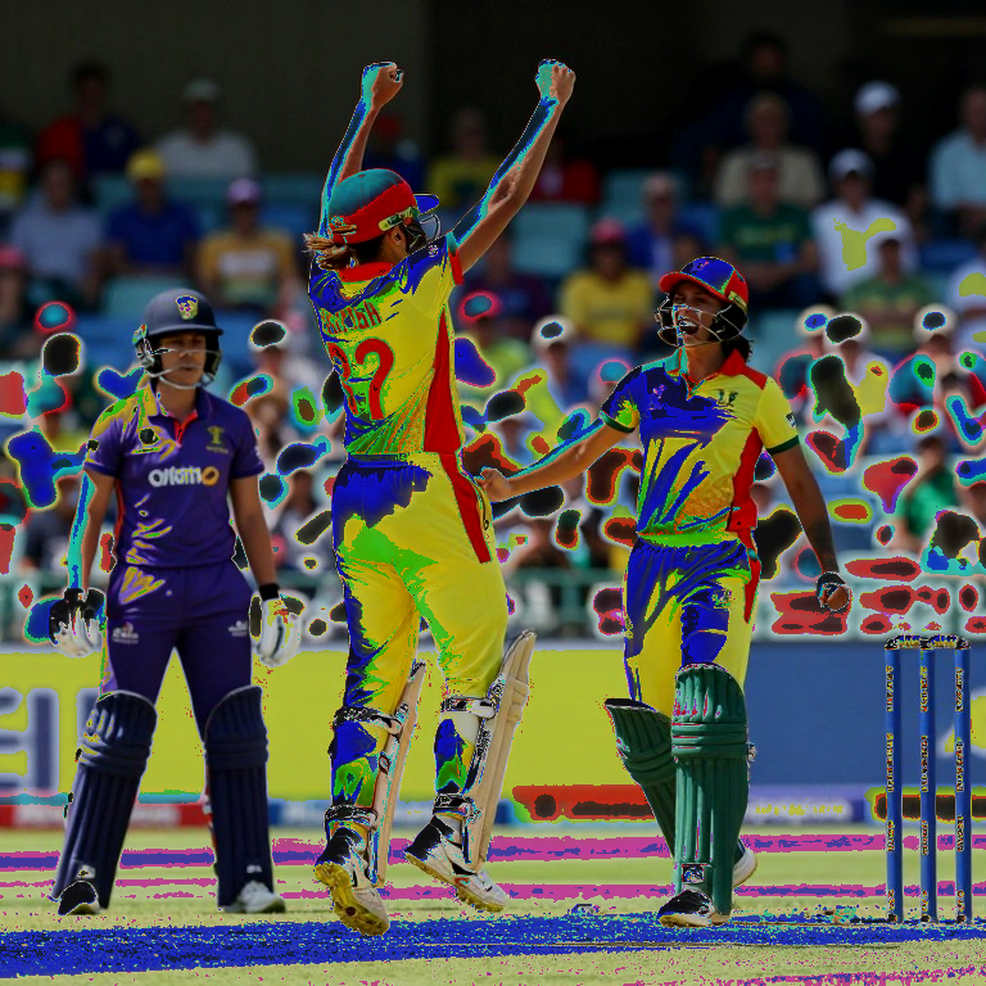 খালি ফিড, ভরা মাঠ: ক্রিকেট সংবাদে অটোমেশনের রায় এবং ‘তথ্য নেই’ বলার শৃঙ্খলা